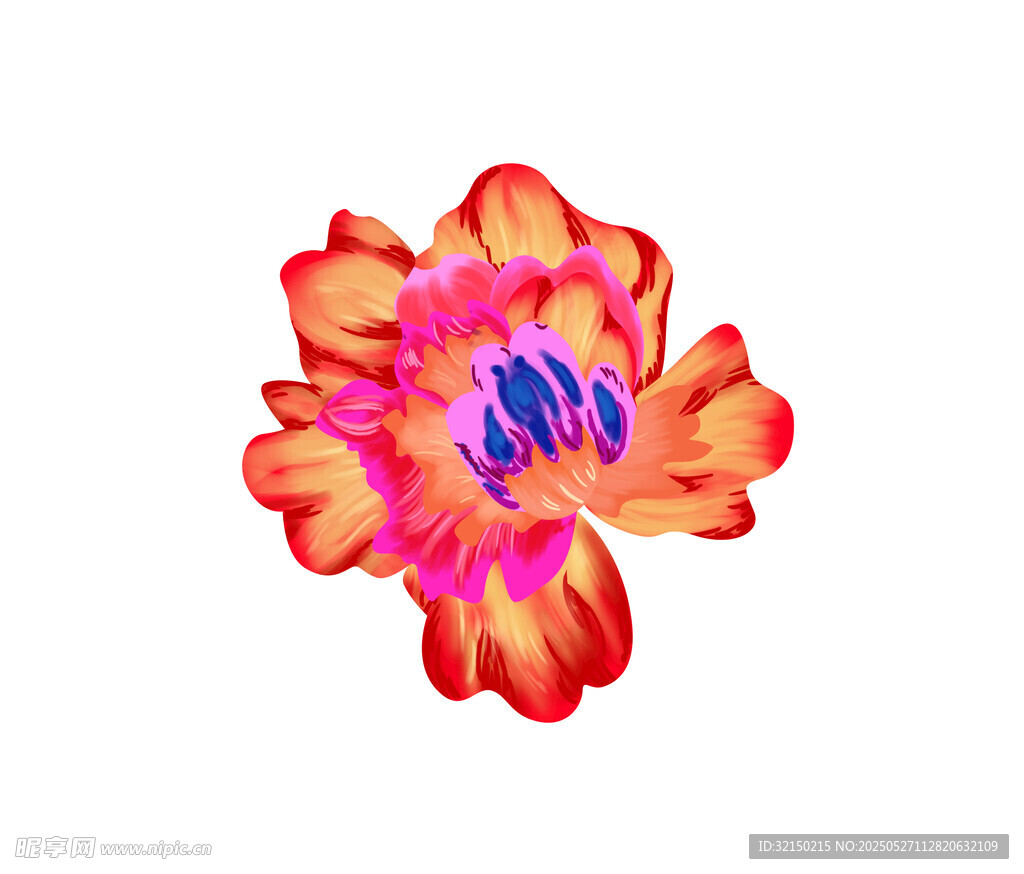 绚丽多彩花朵插画