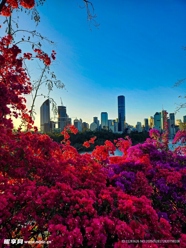 繁花映都市天际线美景