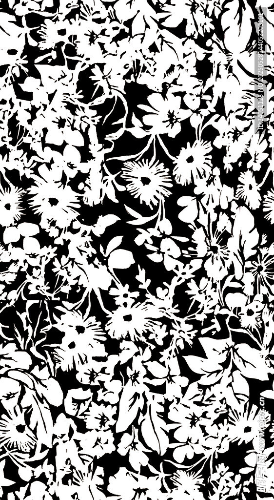 黑白抽象花纹图案