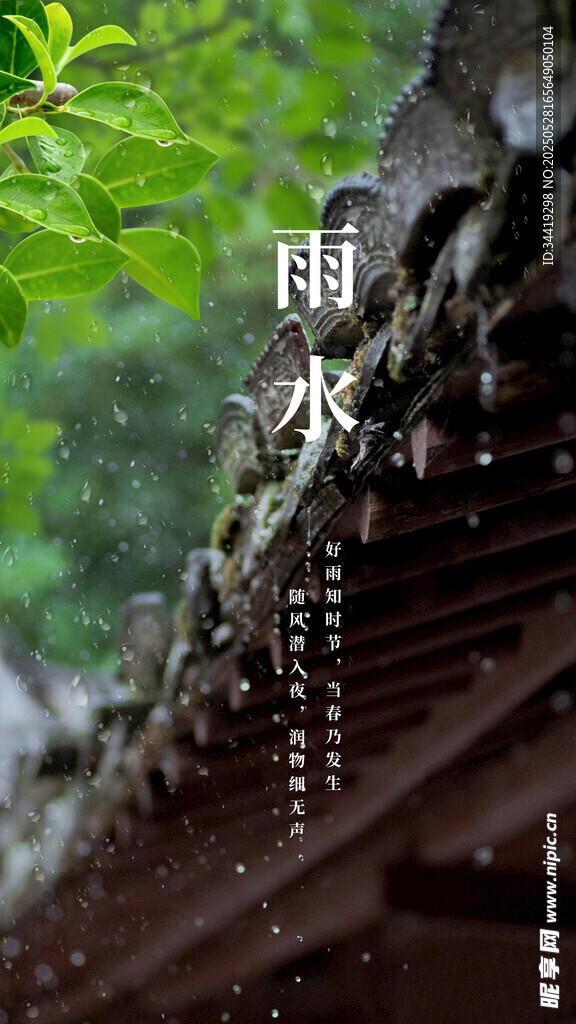 雨水海报