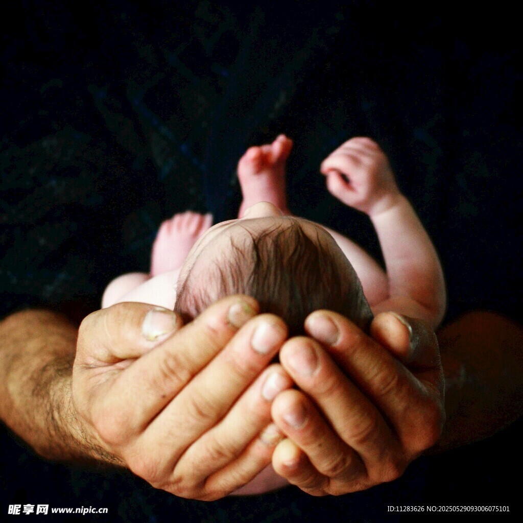 双手呵护下的新生婴儿