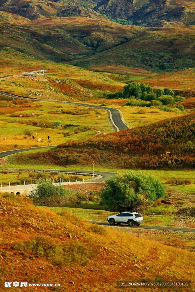 秋日山间公路上的车辆