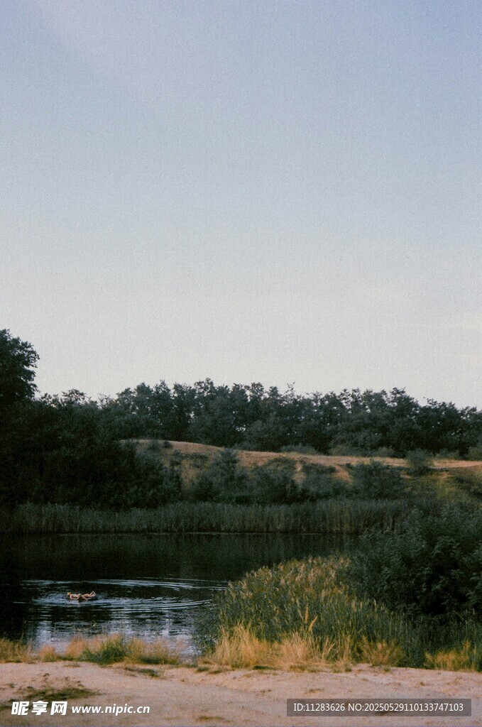 河畔自然风光美景
