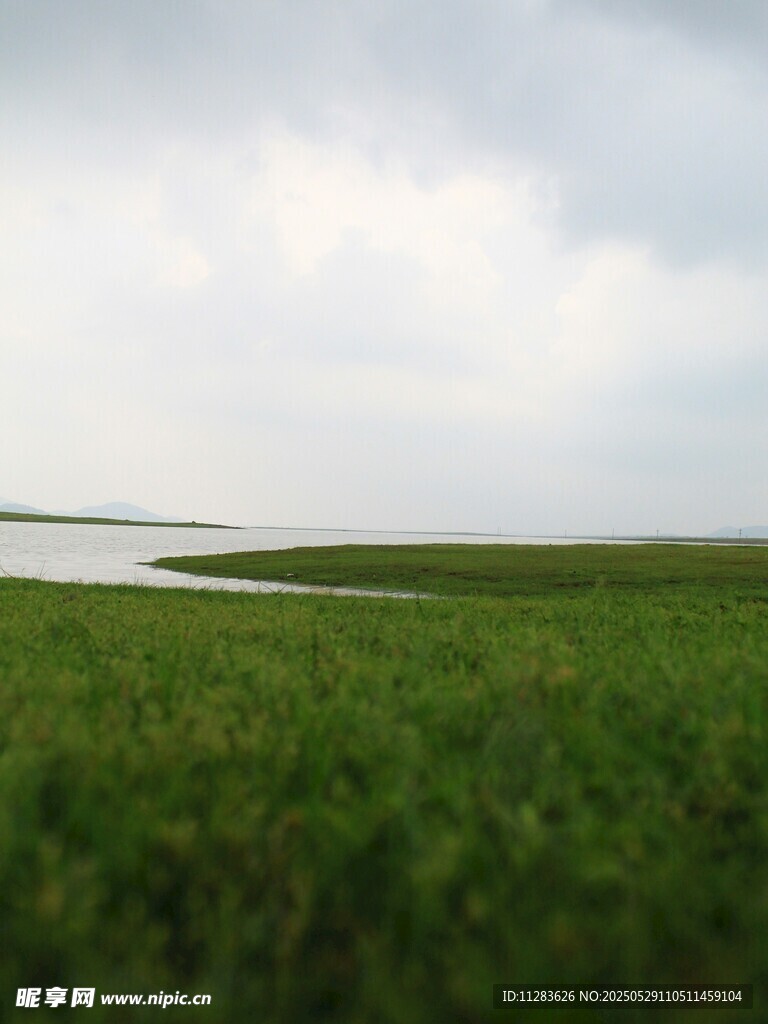 广袤湿地绿意盎然
