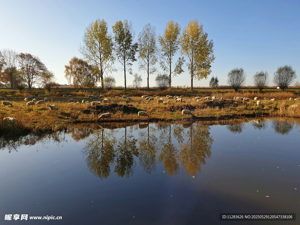 秋日湖畔美景