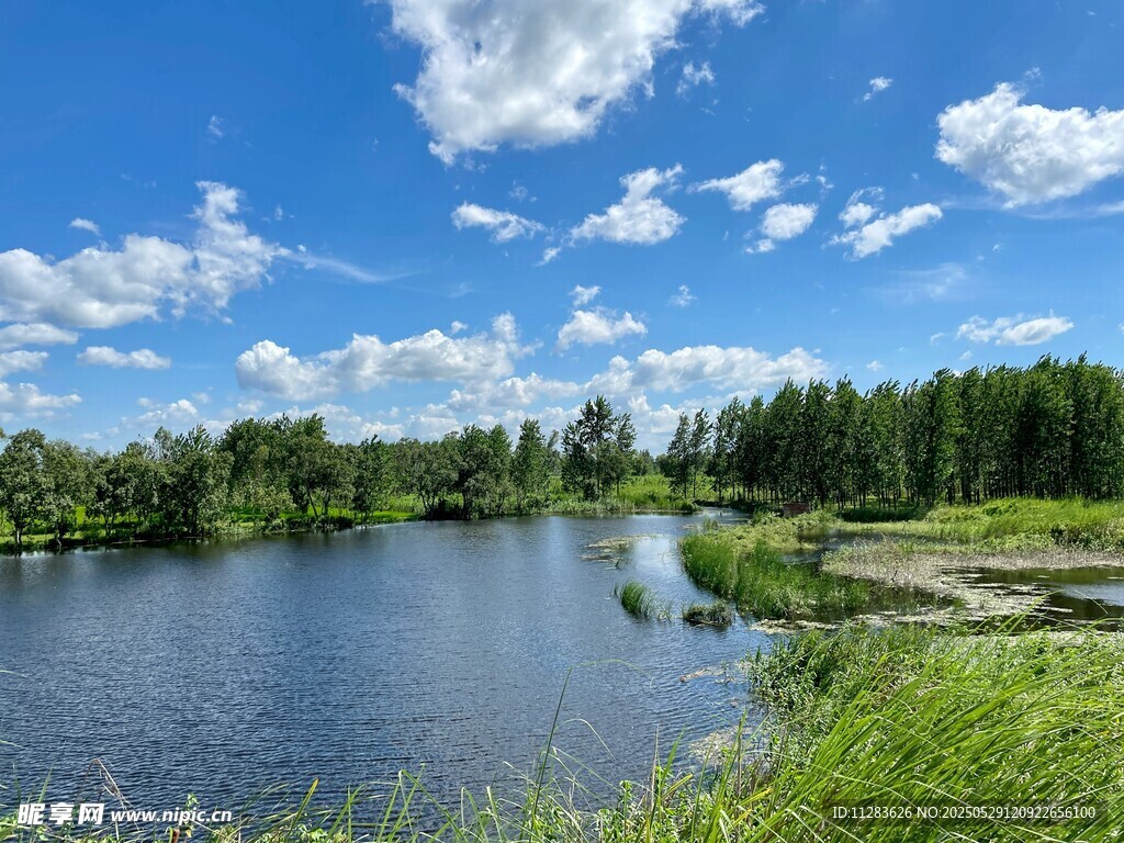 湖畔绿野蓝天自然美景