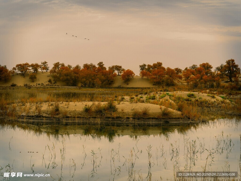 秋日湖畔风景