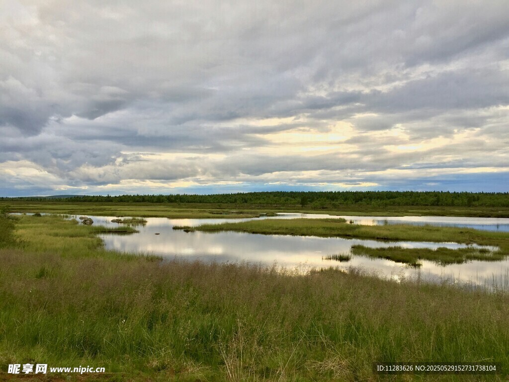 草原湿地风光