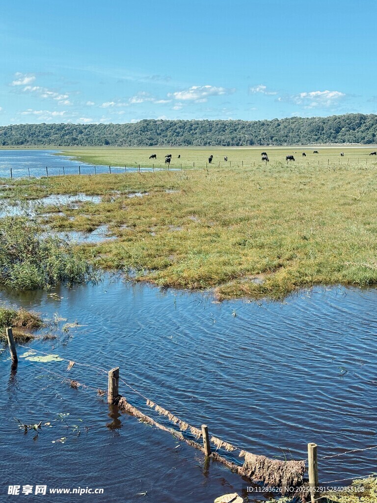 湖畔草地与木栅栏风景