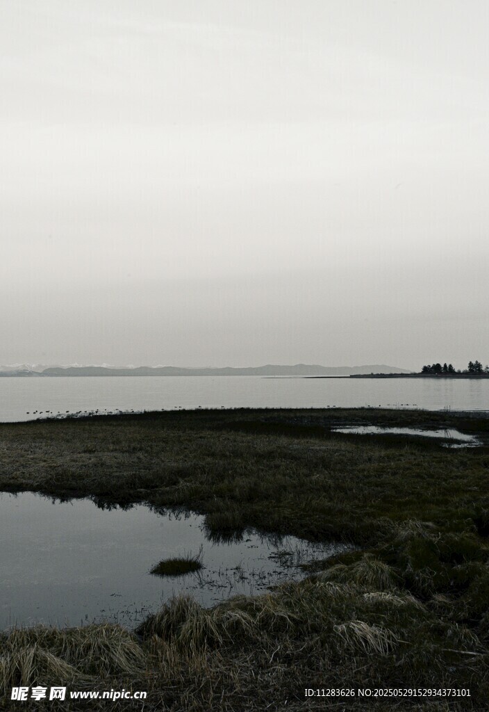 宁静水边湿地景观