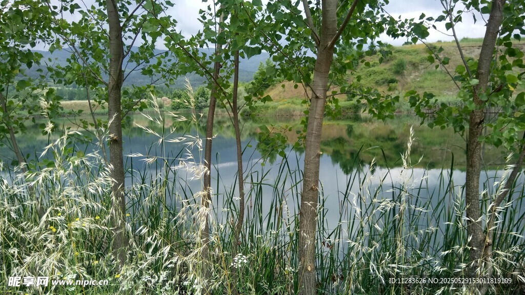林间水景 自然清新风光