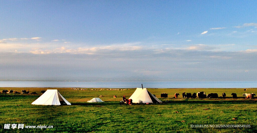 草原上的白色帐篷风景