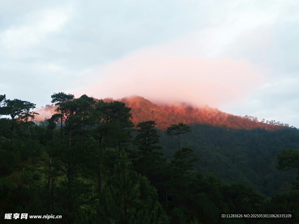山间绚烂霞光映树林