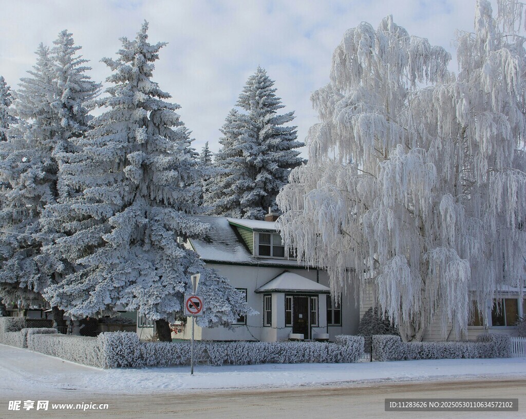 冬日雪景中的温馨小屋