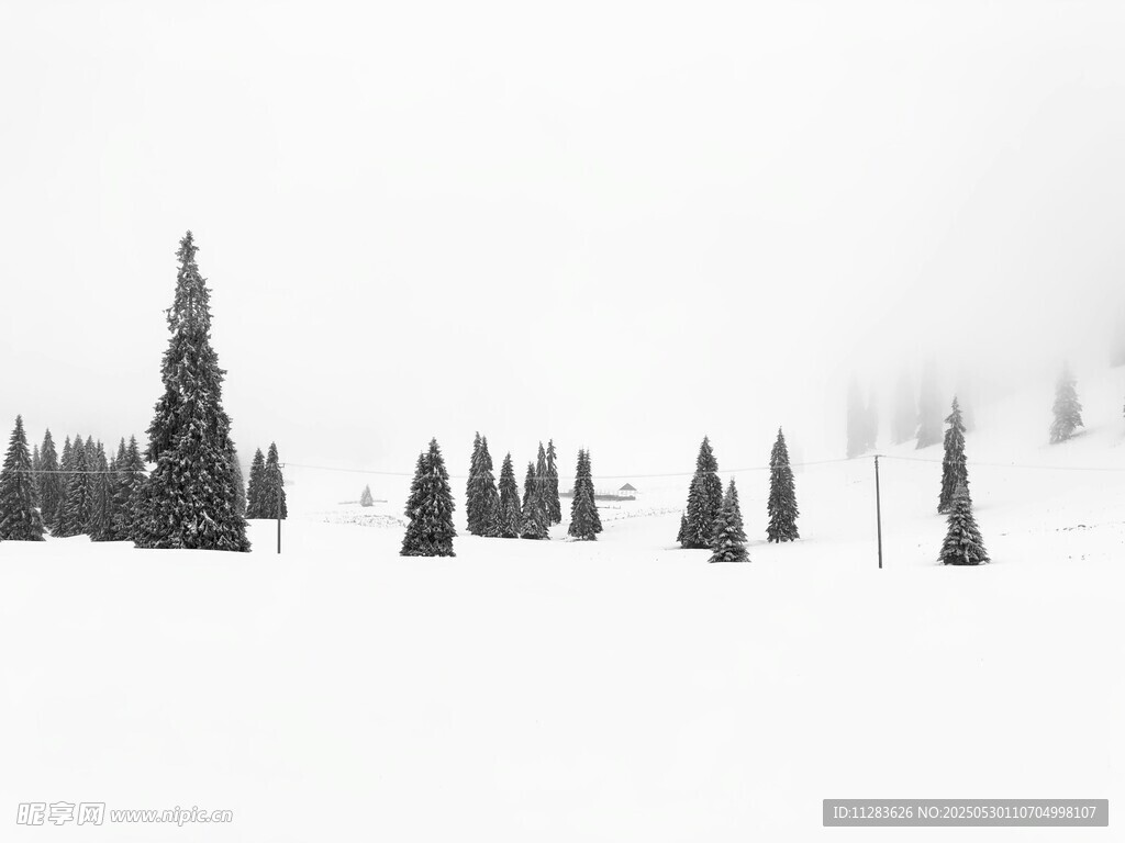 雪覆山林 静谧冬日景象
