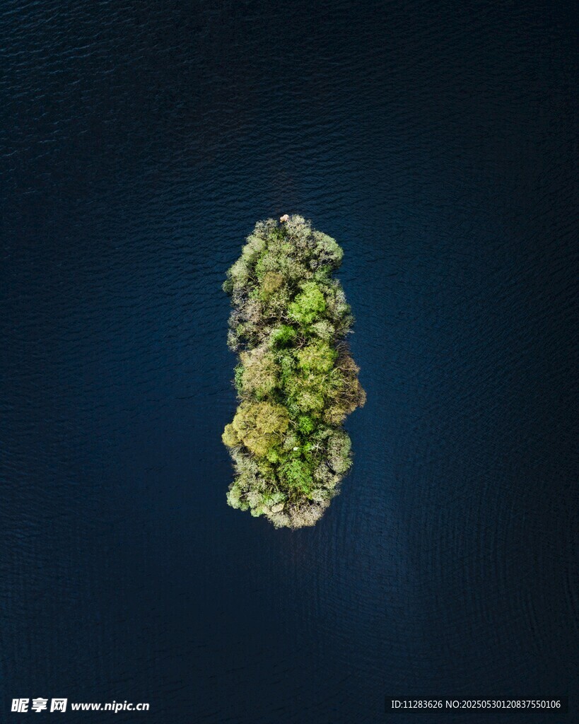 空中俯瞰的绿色岛屿
