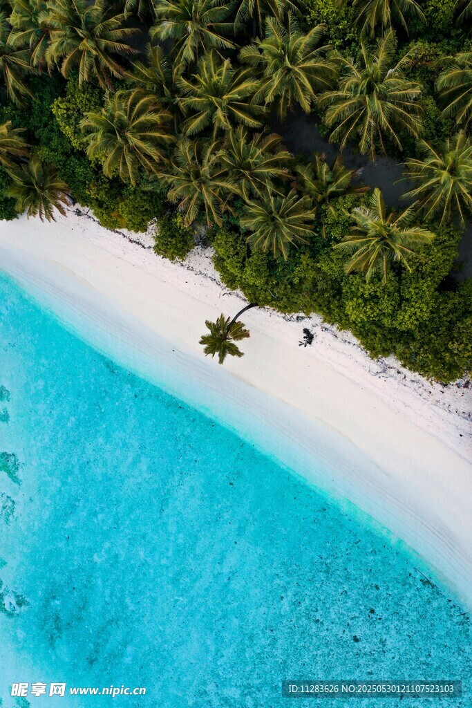 梦幻海岛蓝白沙滩美景