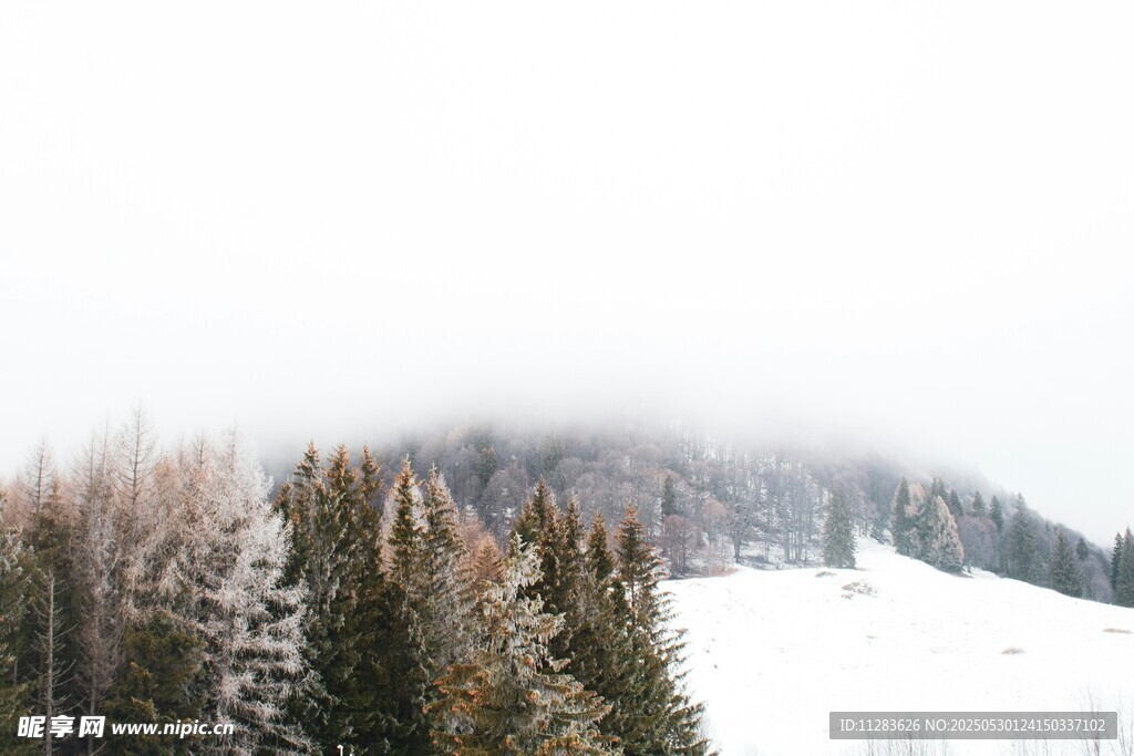 雪覆山林的静谧冬日景象