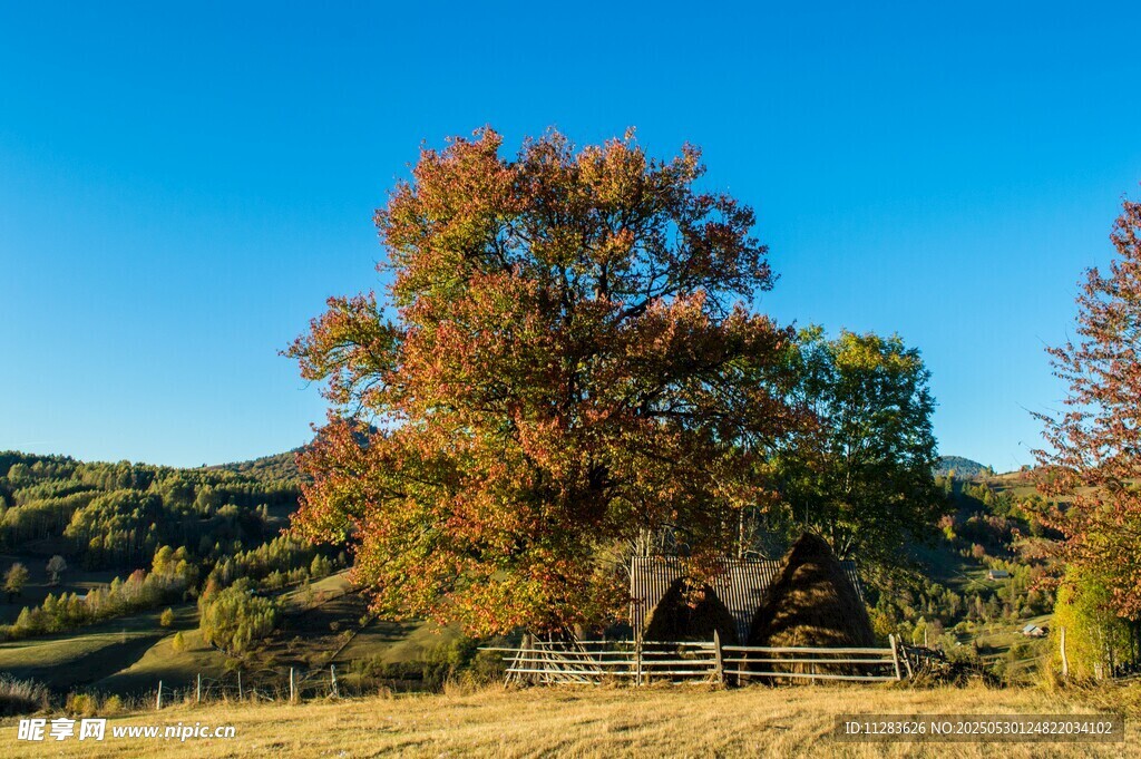 秋日乡村美景