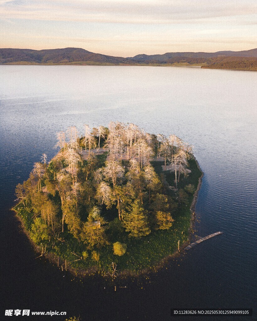 湖中小岛的自然美景