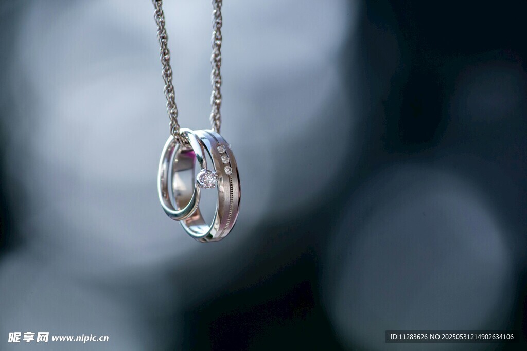 精致银质双环项链饰品