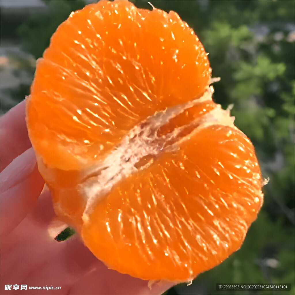 橙子