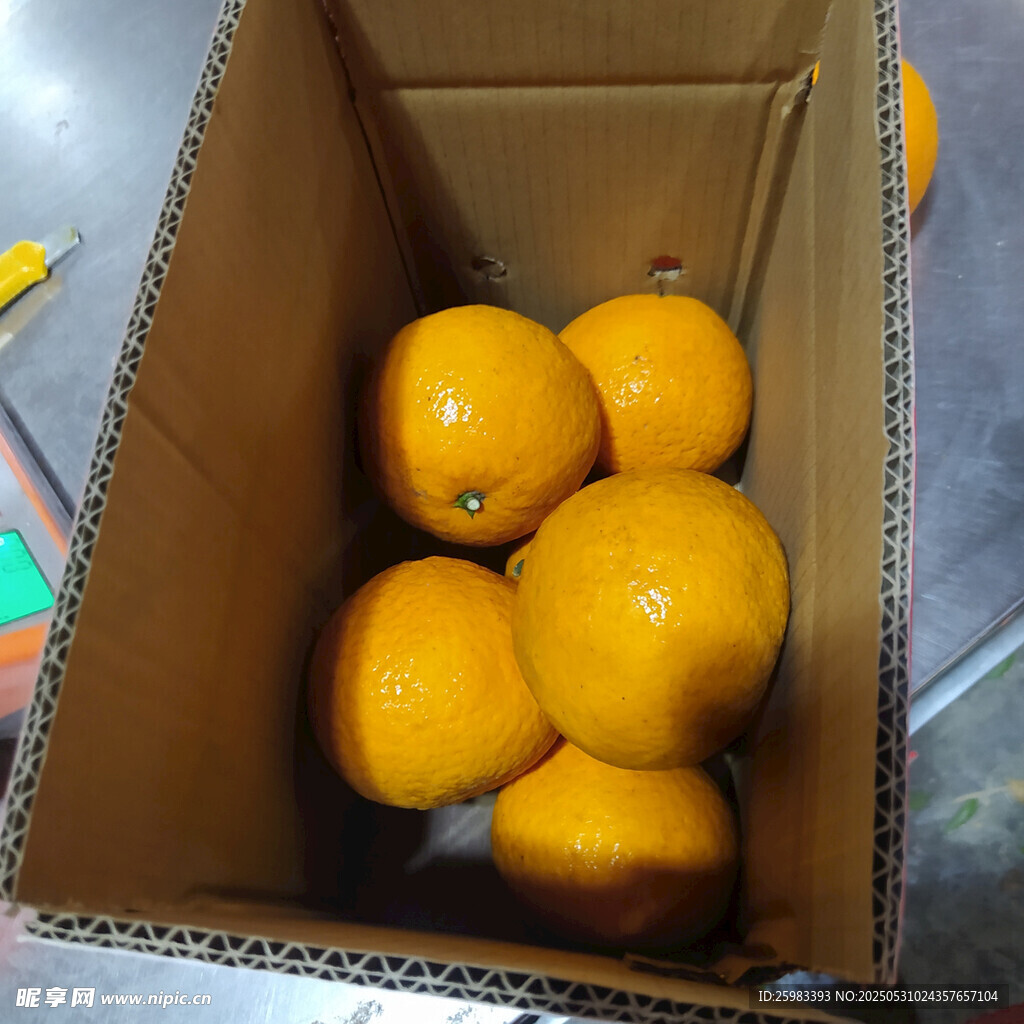 橙子