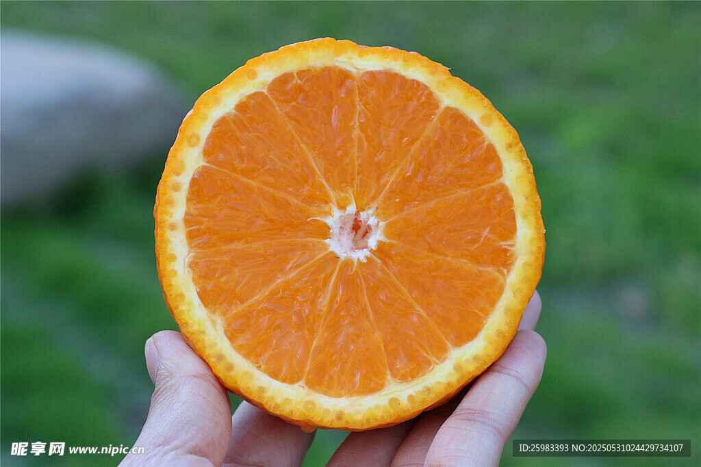 橙子