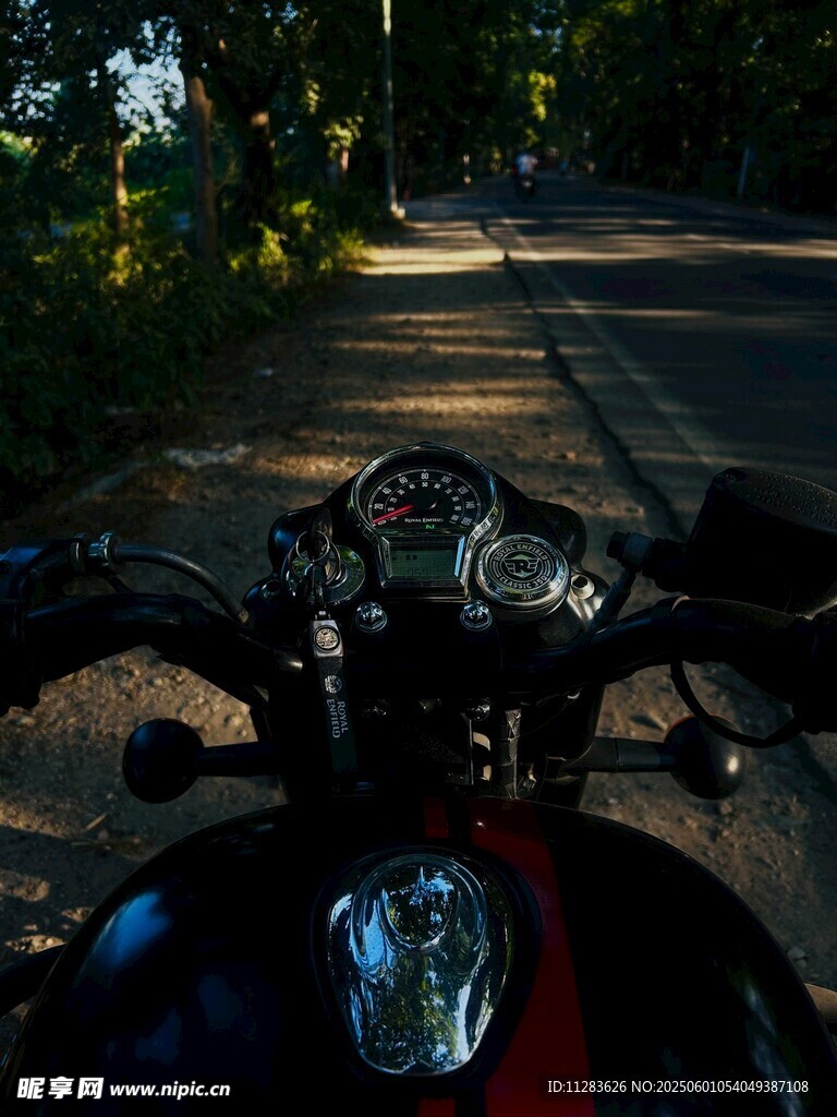 骑行视角下的林间道路
