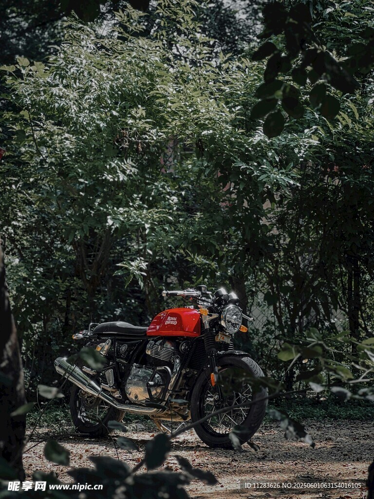 丛林中骑行的摩托车手