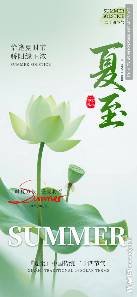 夏至夏天荷花荷塘节气海报