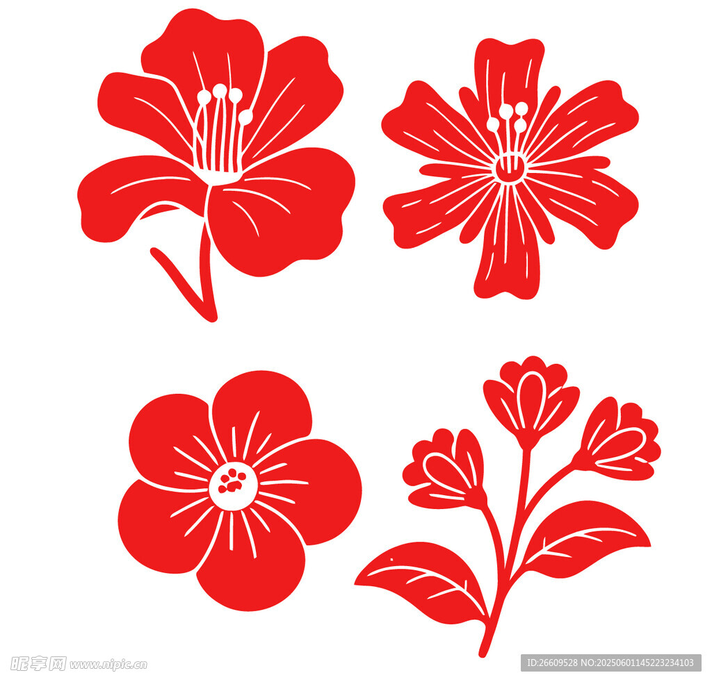 红色花卉