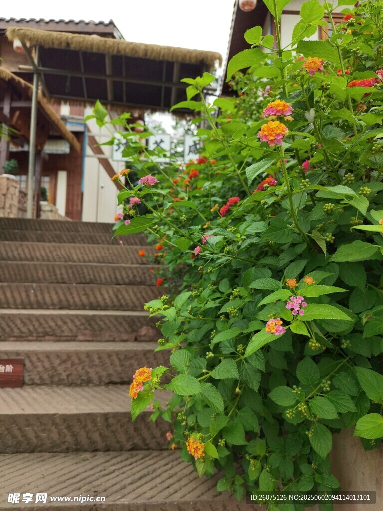 花坛阶梯