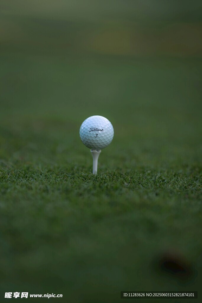 草地上的高尔夫球与球座