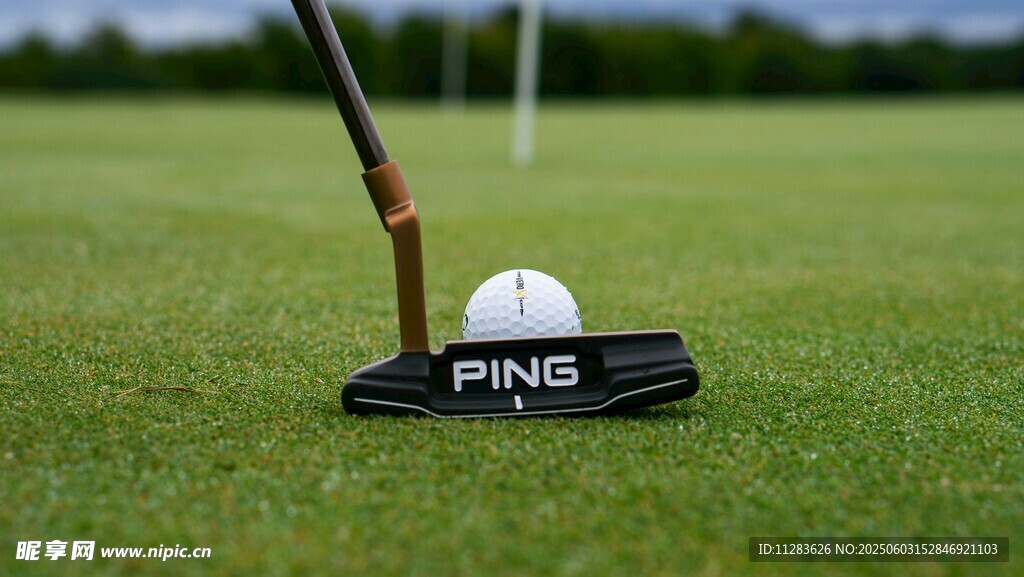 高尔夫球杆与球特写