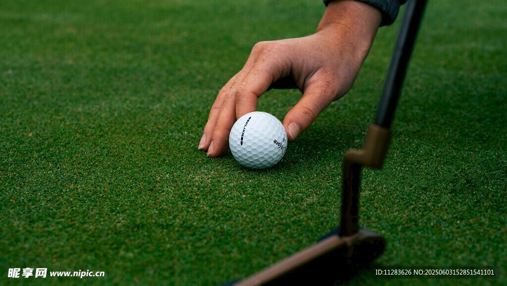 手放高尔夫球准备击球