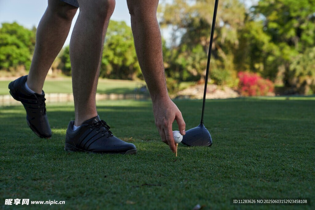 准备击球的高尔夫球手