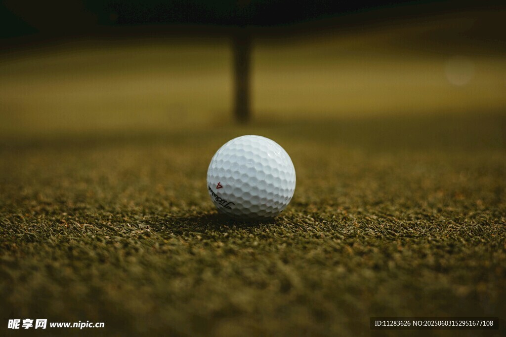 草地上的高尔夫球