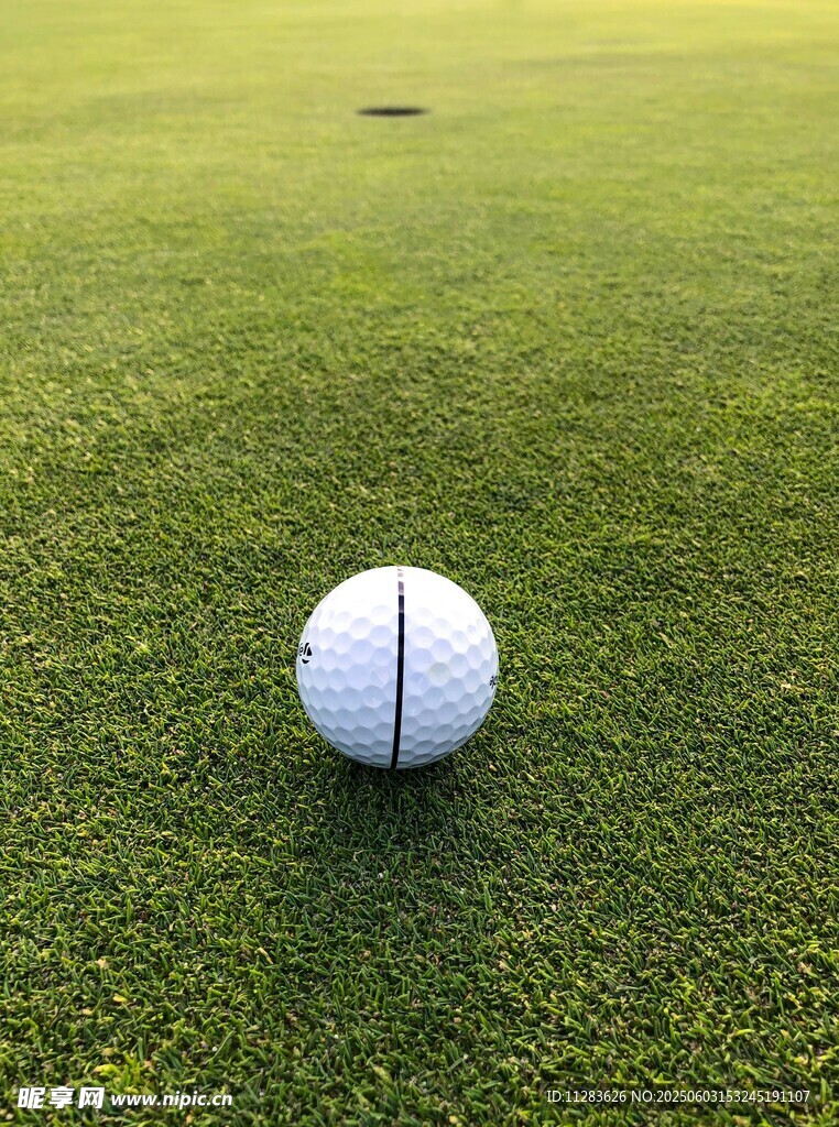 绿茵上的高尔夫球