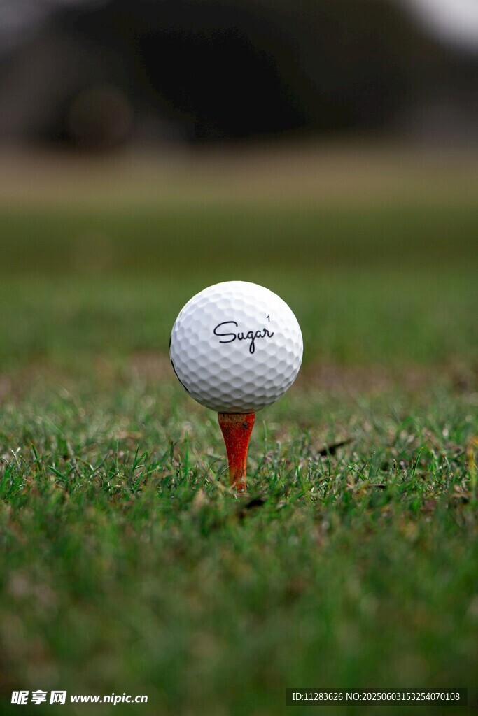 草地上的高尔夫球与球座