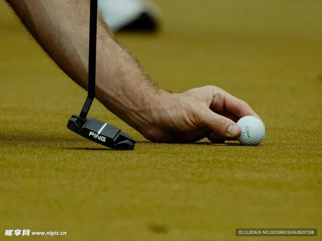 手放高尔夫球准备击球