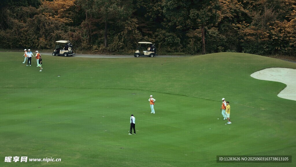 高尔夫球场球员挥杆瞬间