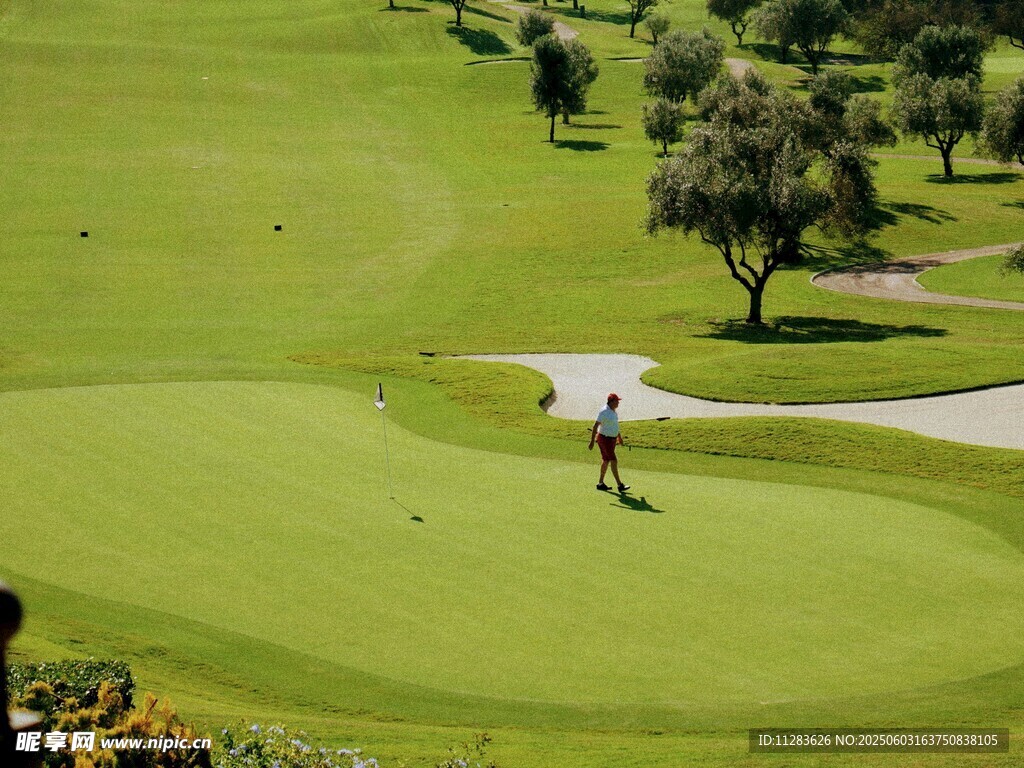 高尔夫球场中的优雅挥杆