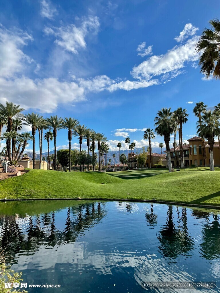 湖畔棕榈树与蓝天美景