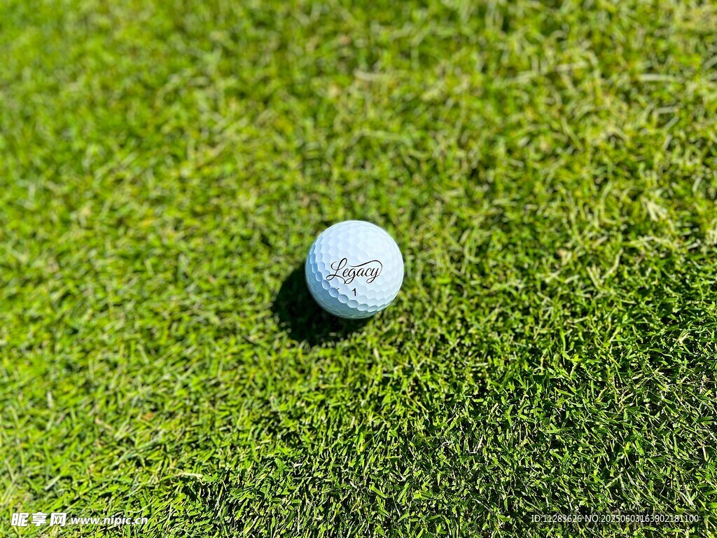 草地上的高尔夫球