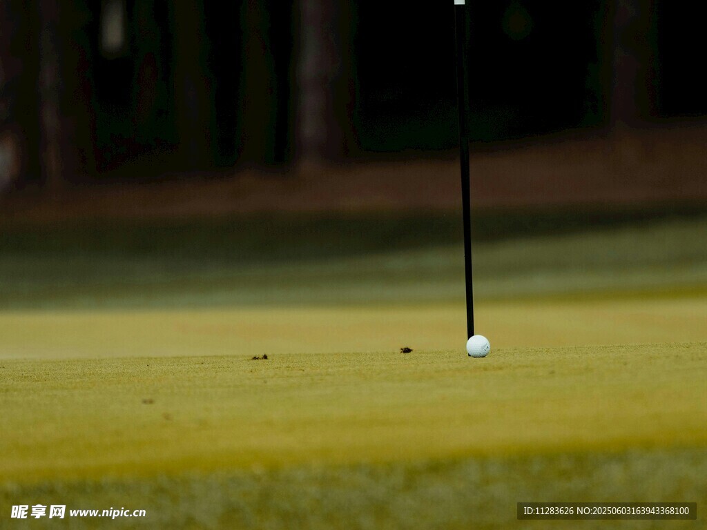 高尔夫球洞旁的白色小球