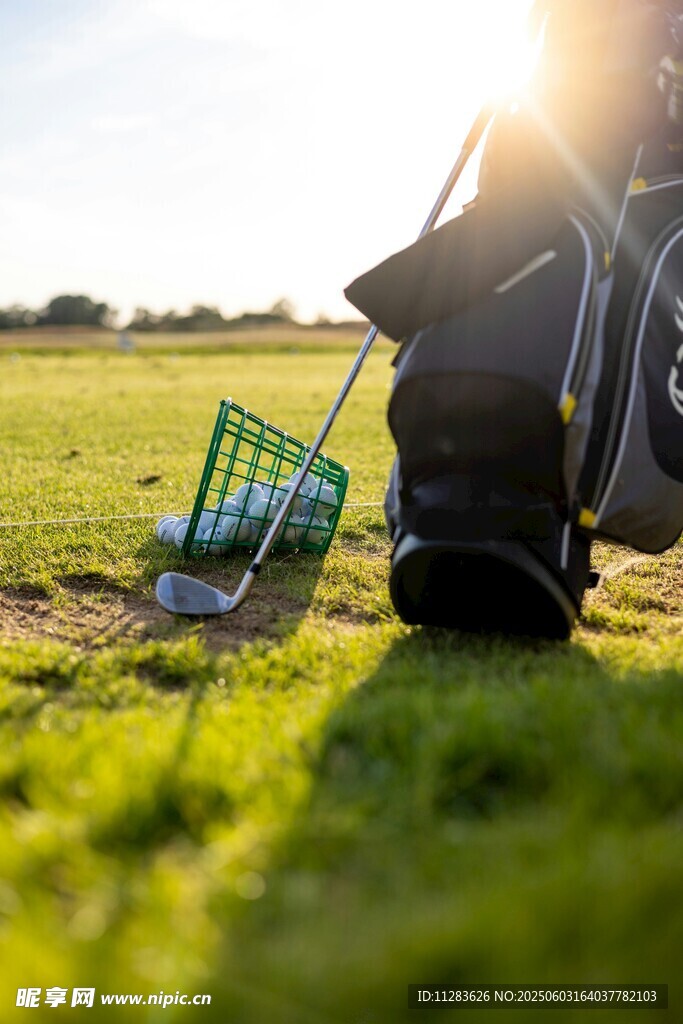 草地旁的汽车与绿色篮子