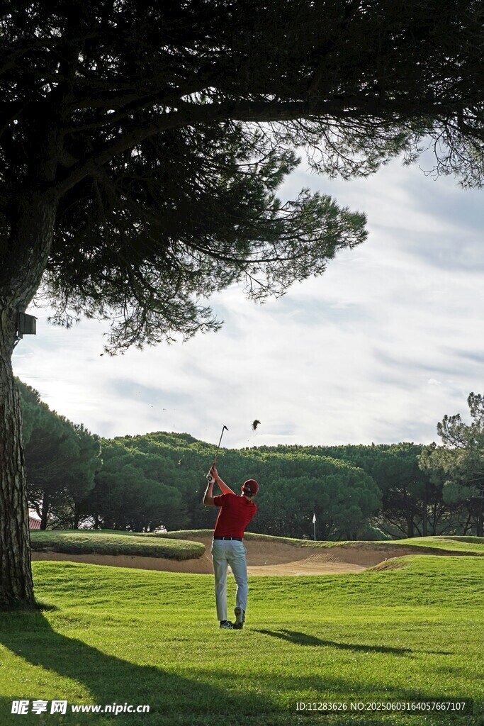 树下漫步的红衣人