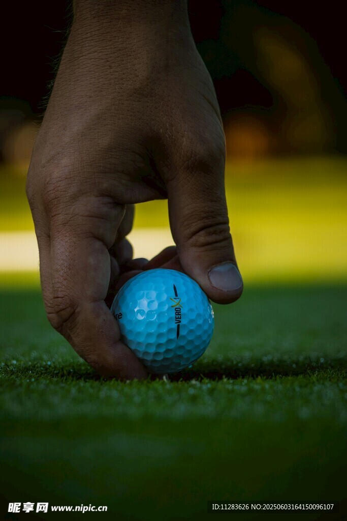 手握蓝色高尔夫球于草地
