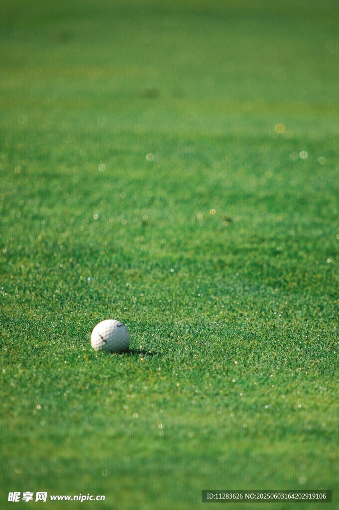 绿茵上的高尔夫球